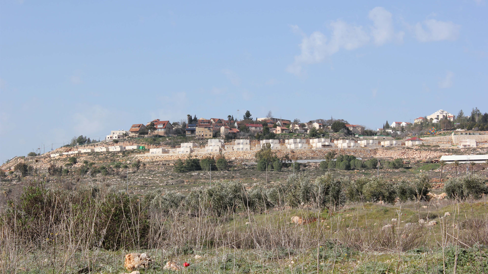 BBC_Israel_Hillside